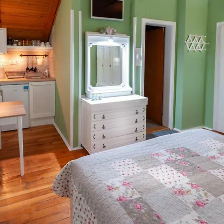 Kuca Jankovica Pensionat Vrnjačka Banja