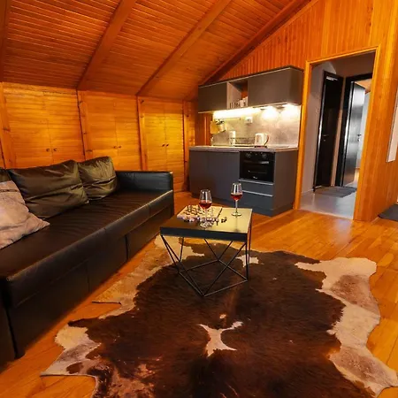 Kuca Jankovica 3* Vrnjačka Banja