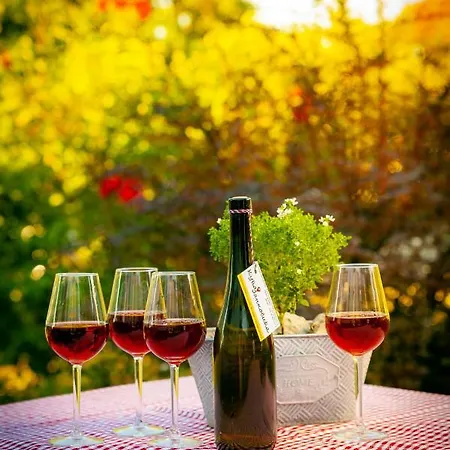 Kuca Jankovica 3* Vrnjačka Banja